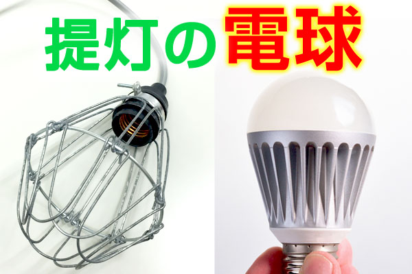 提灯の電球