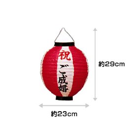 9寸紅白